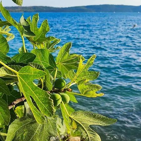 Apartman Penava, Private Beach, Pool And 7min To *